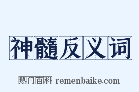 神髓反义词是什么意思的图片